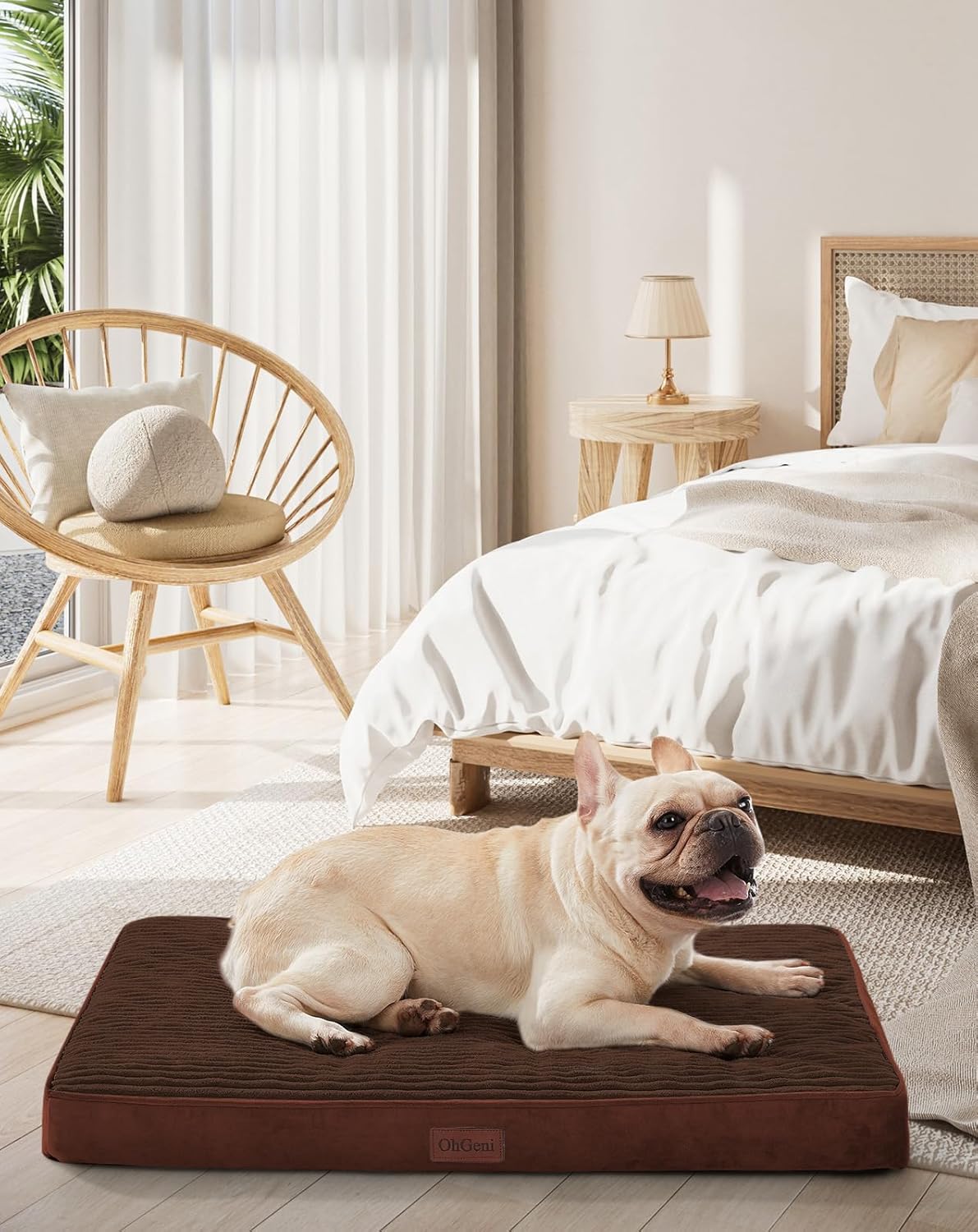ohgeni orthopedic waterproof & machine washable dog bed for small medium pets, suitable for crates, cat mat with 25d egg crate foam, removable cover, 30 inches(brown) 01-brown medium (30"l x 20"w x 3"th)