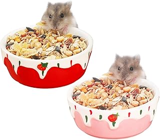VanEnjoy 2 Pack Hamster Food Bowl Small Ceramic Water Food Bowl for Cage Small Animal Bowls for Hamster Guinea Pig Chinchilla Rabbit - Red and Pink