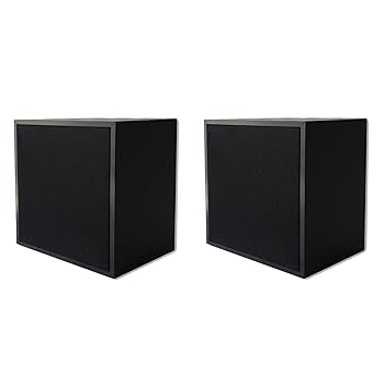 Amazon.co.jp: DAITO VOICE 10cm エンクロージャー サランネット
