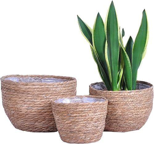 Cesta de hierba marina para interiores y exteriores, cubierta tejida a mano, contenedores de plantas, decoración, beige, marrón, juego de 3