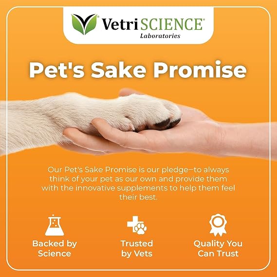 VetriScience Glycoflex Plus Clinically Proven Hip & Joint Supplement for Dogs, 60 Chews & Canine Plus MultiVitamin for Senior Dogs, 60 Chews