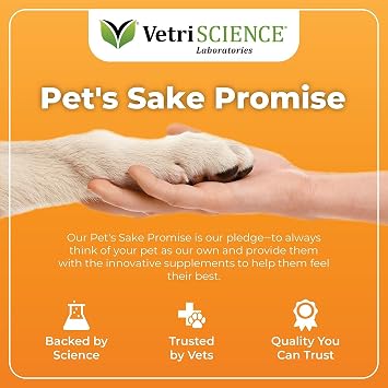 VetriScience Glycoflex Plus Clinically Proven Hip & Joint Supplement for Dogs, 60 Chews & Canine Plus MultiVitamin for Senior Dogs, 60 Chews