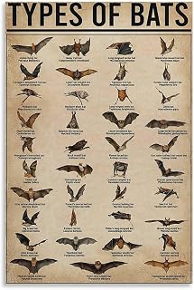 CYPGTBCK Vintage Bat Poster Bat Knowledge Education 12x18inch(30x45cm) Canvas Art Poster And Wall Art Picture Print Modern Family Bedroom Decor Posters