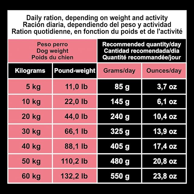 Foto 7 de 8 de Arquivet Original Adult - Pienso para Perros Adultos - Salmón y Arroz - Marrón, 12 kg (Paquete de 1)