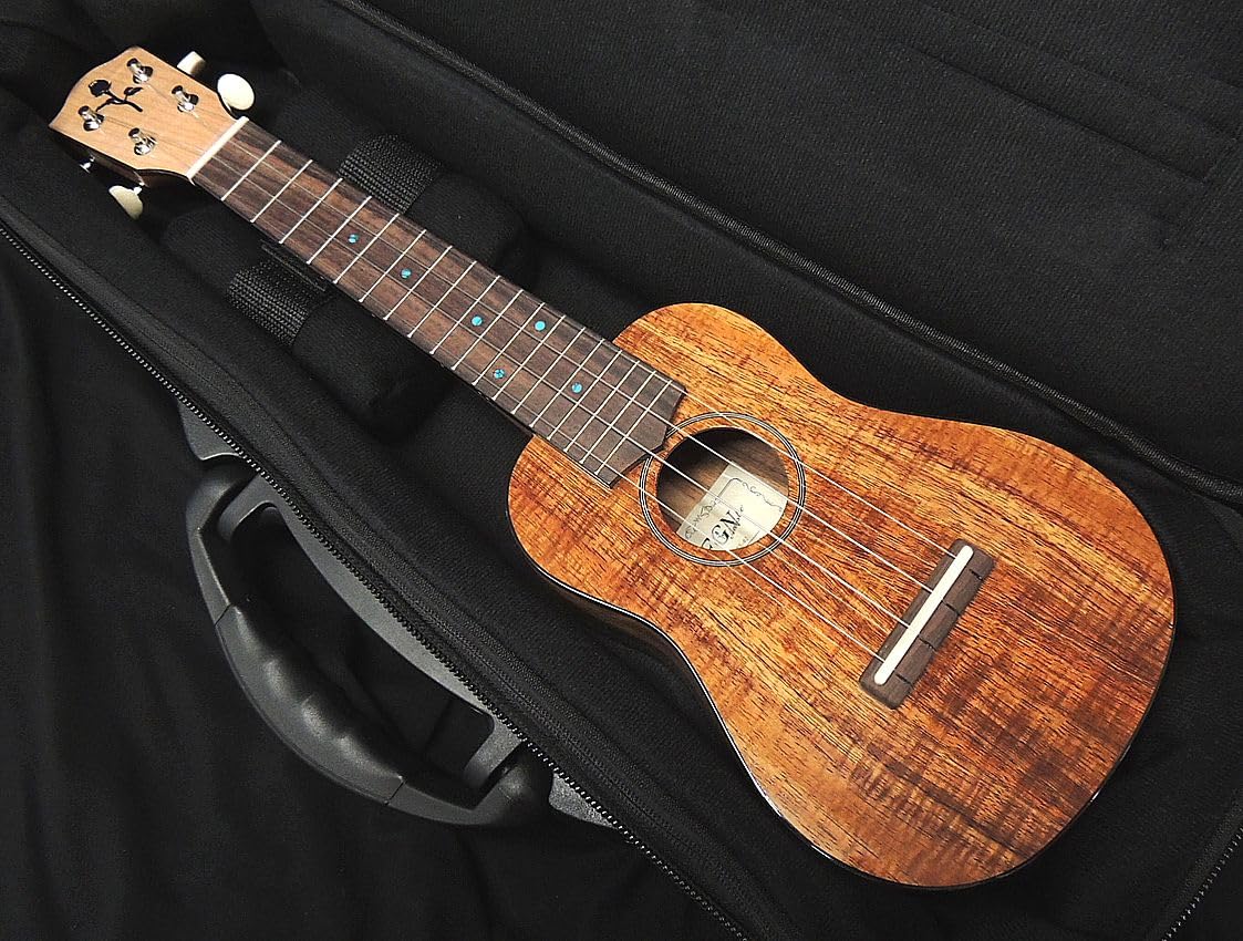 Amazon.co.jp: FUJIGEN FGN FUS-TS-02 フジゲン ソプラノ ウクレレ 