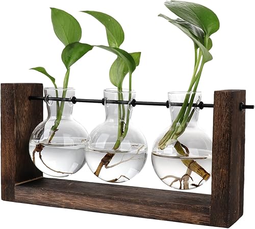 Terrario para plantas con soporte de madera, jarrón de propagación de mesa, macetas hidropónicas de vidrio, maceta de aire, florero de vidrio con