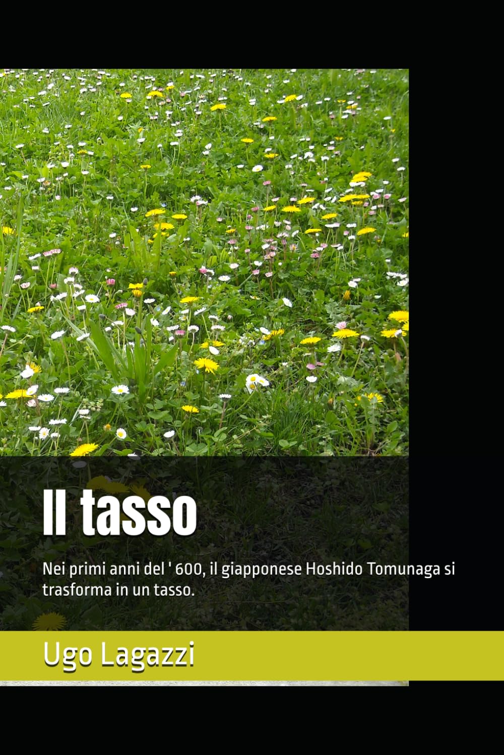 Il tasso: Nei primi anni del ' 600, il giapponese Hoshido Tomunaga si trasforma in un tasso.
