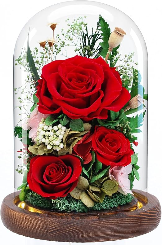 Dsuto Preserved Rose in Glass Dome with LED Light, Forever