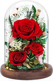 Dsuto Forever Fresh Flowers Bouquet in Glass Dome with Light, Preserved Red Roses Gifts for Women on Birthdays, Anniversaries, Christmas, Valentine’s Day & Mother’s Day
