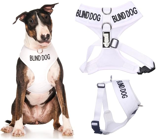 Dexil Blind Dog (Dog Has Limited/No Sight)