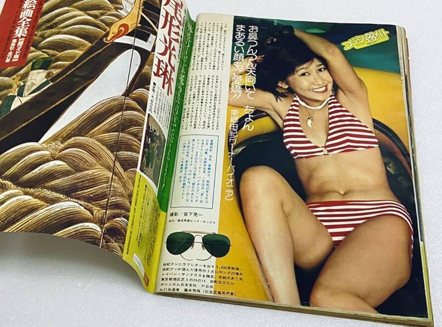 週刊 プレイボーイ 2015年 7/20号 週刊プレイボーイ 2015年7月20日号 (No.29) [雑誌] | カルチャー