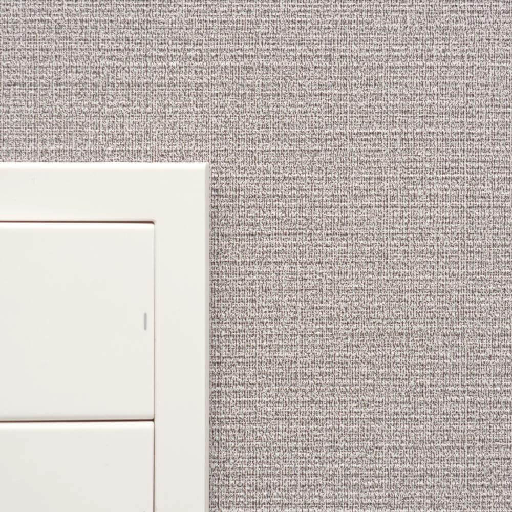 ビカクシダ、ウィリンキー　OMG　nano　金童3点セット 2025年最新】ビカクシダOMGの人気アイテム - メルカリ