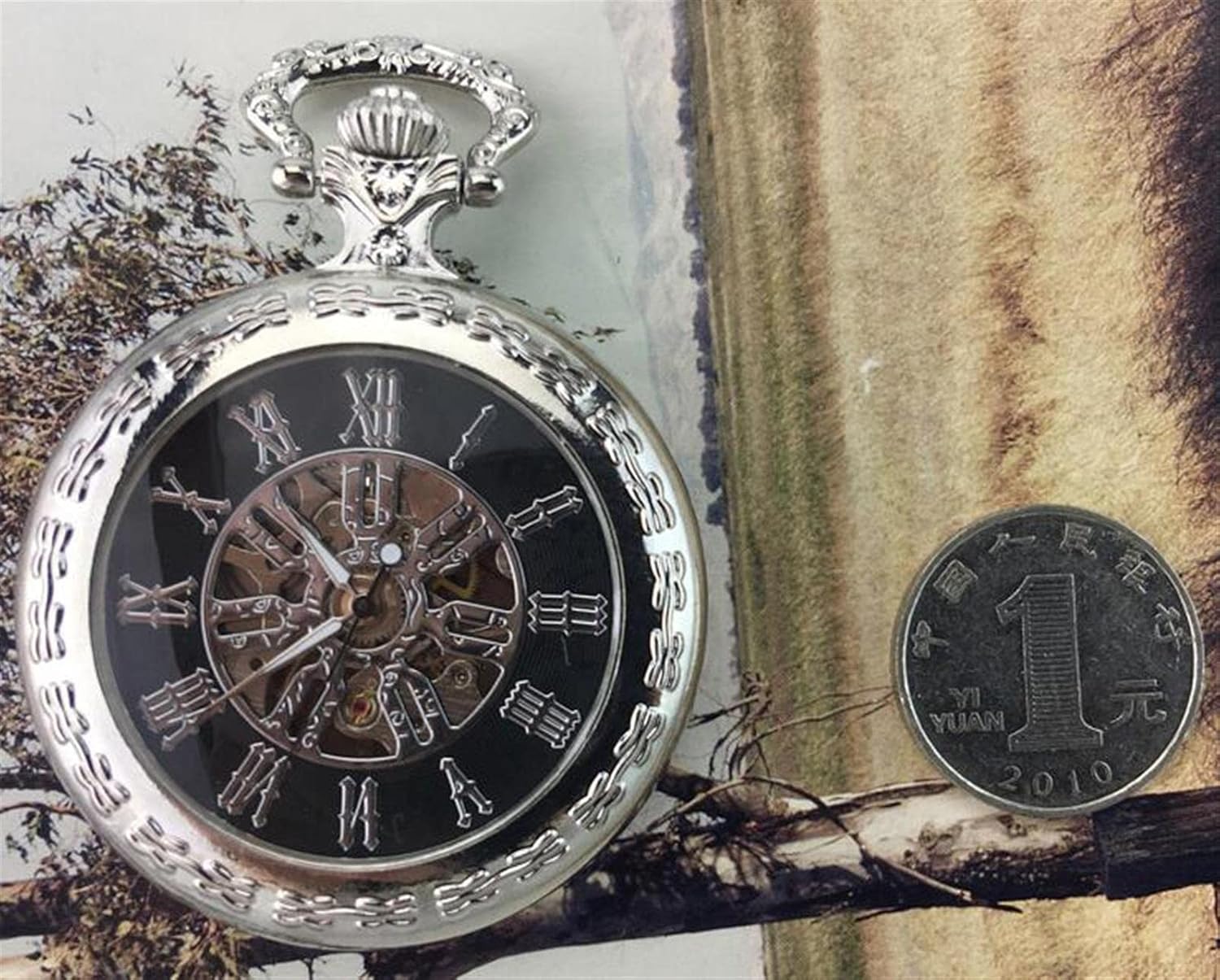 Pocket Watches for Men, Men's Vintage Pocket Watches Mechanical Steampunk Watches Clock Pendant with Chain Box Best(Silver)