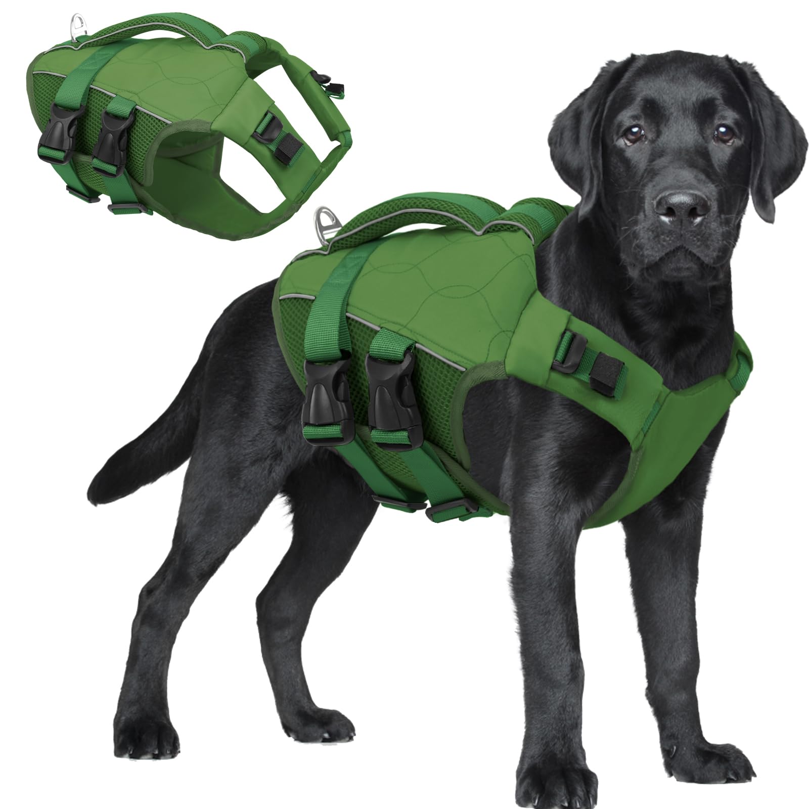 ASENKU Giubbotto Salvagente per Cani, Salvagente per Cane Piccoli, Medi e Grandi, Giubbotto con Maniglia di Salvataggio, Cinture Regolabili e Riflettenti,Ideale per Spiaggia, Piscina, Barca, Kayak XXL