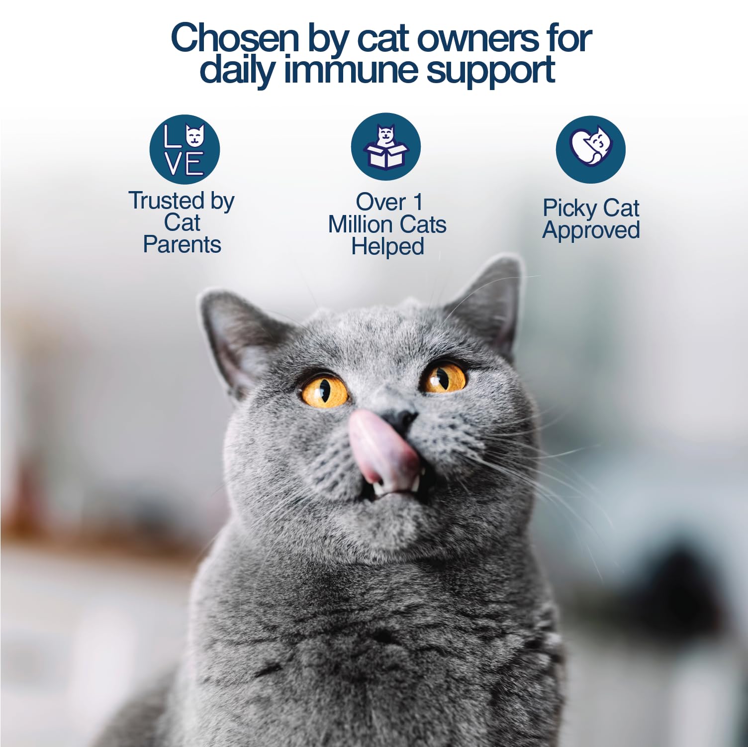 Felisyl L-Lysine Granules for Cats 100g (3.5 oz, 151 Servings) – Supports Immune, Respiratory, and Eye Health. Eases Sneezing, Runny Nose, and Watery Eyes. Tasty Salmon Flavor - Made in The USA — Amazon image 5