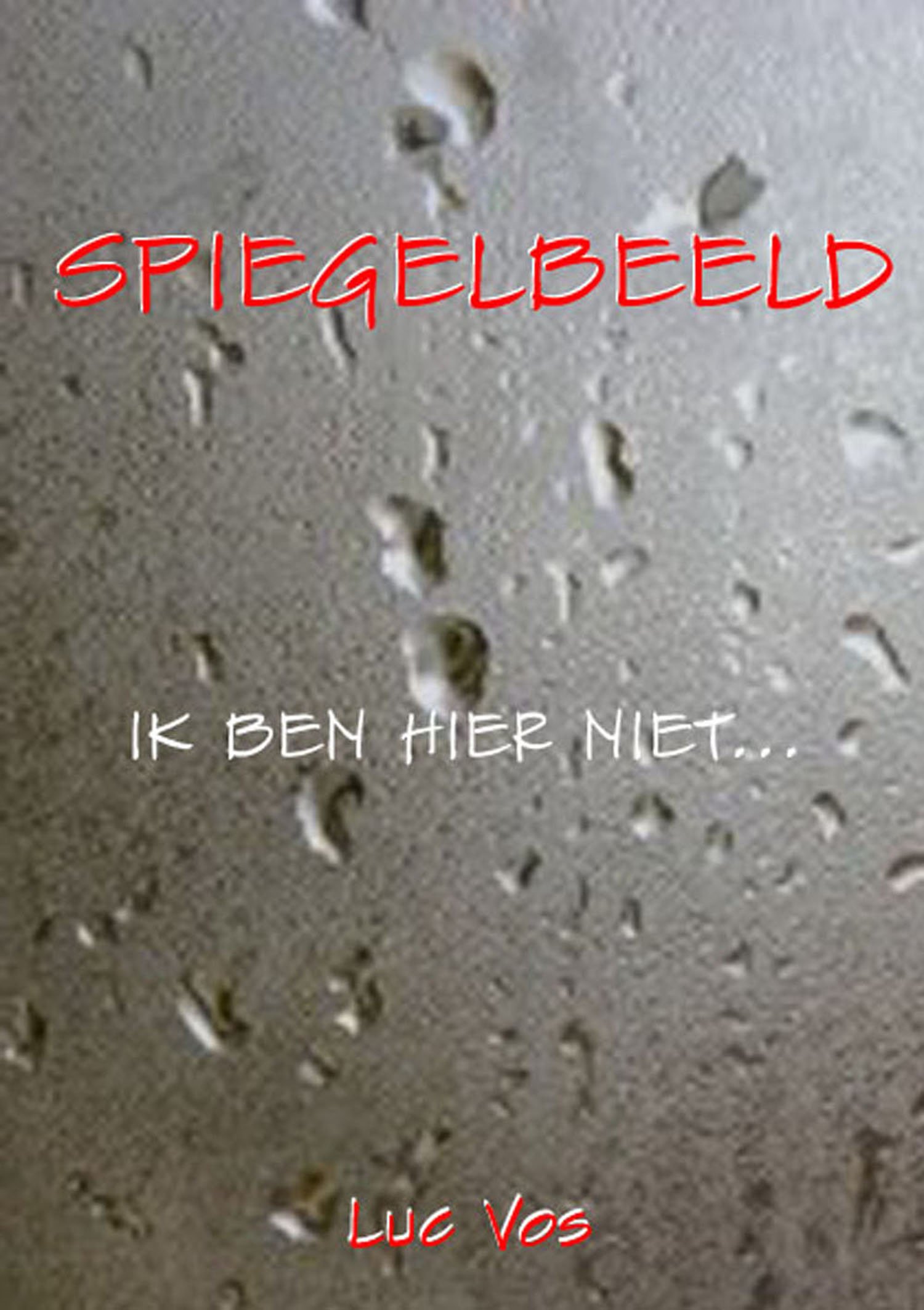 Spiegelbeeld (Dutch Edition)