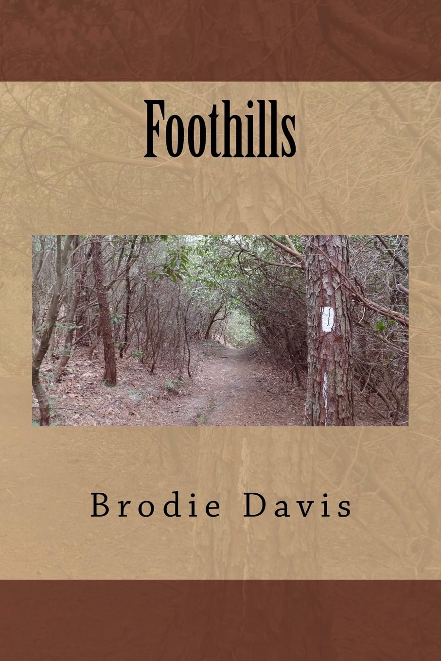 Foothills Paperback – 14 Jan. 2018