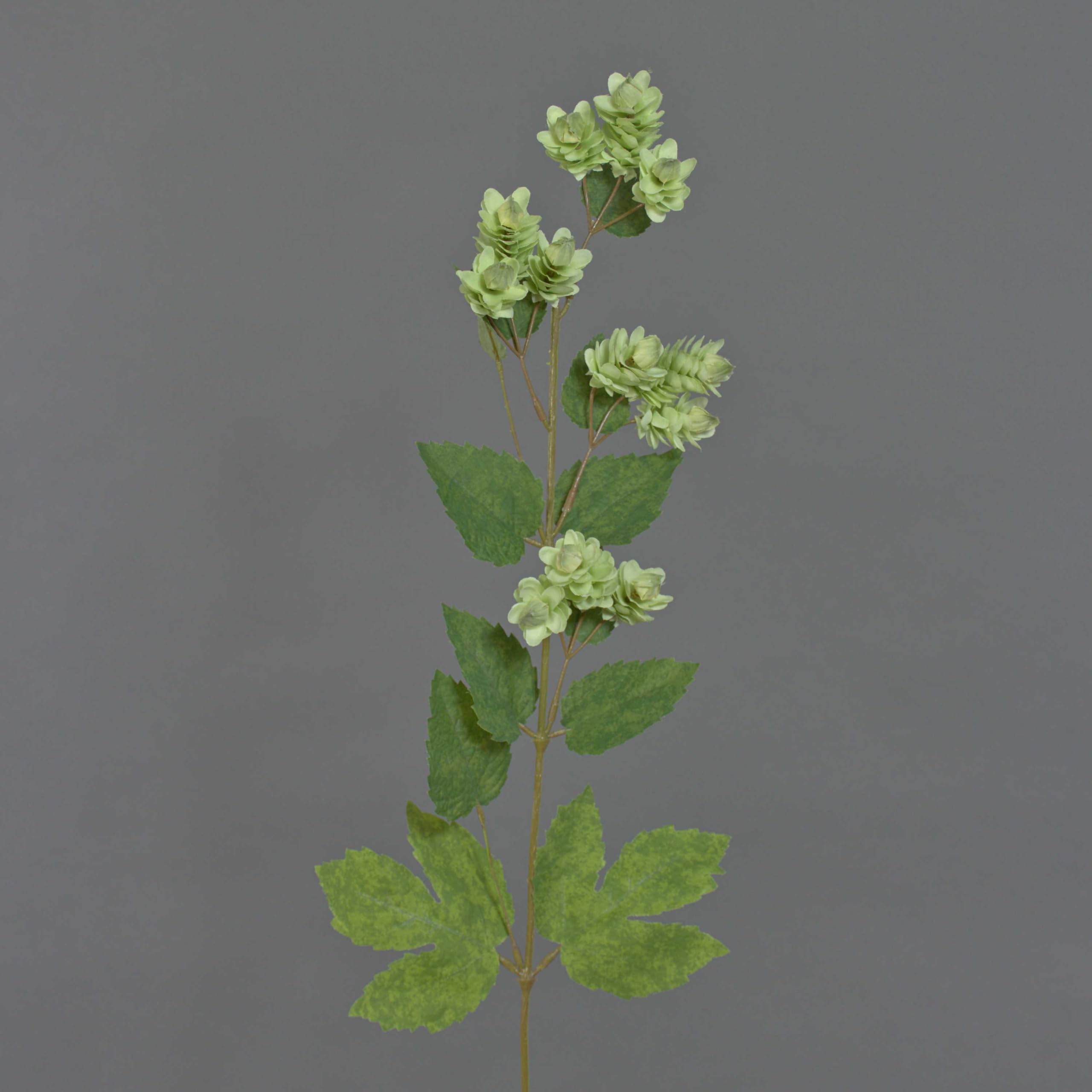 artplants.de Artificial Hop spray AXEL, 10 umbels, green, 26"/65cm - Humulus lupulus/Decorative plant