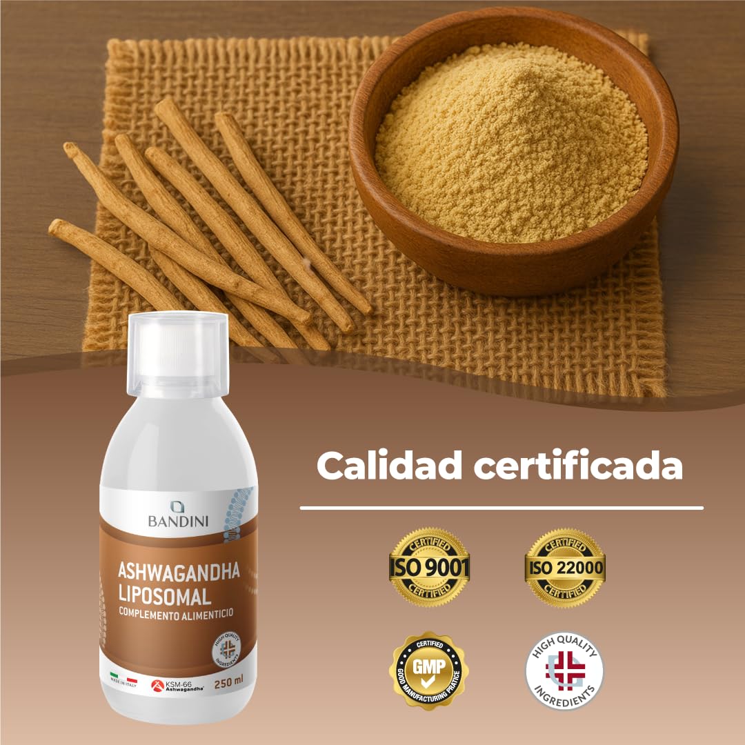 Bandini® Ashwagandha Liposomal 250 mg – Alta Biodisponibilidad y Absorción – Extracto líquido de Ginseng indio (Withania somnifera) raíces para Fatiga Física y Mental - Vegano - 250 ml, 25 porciones