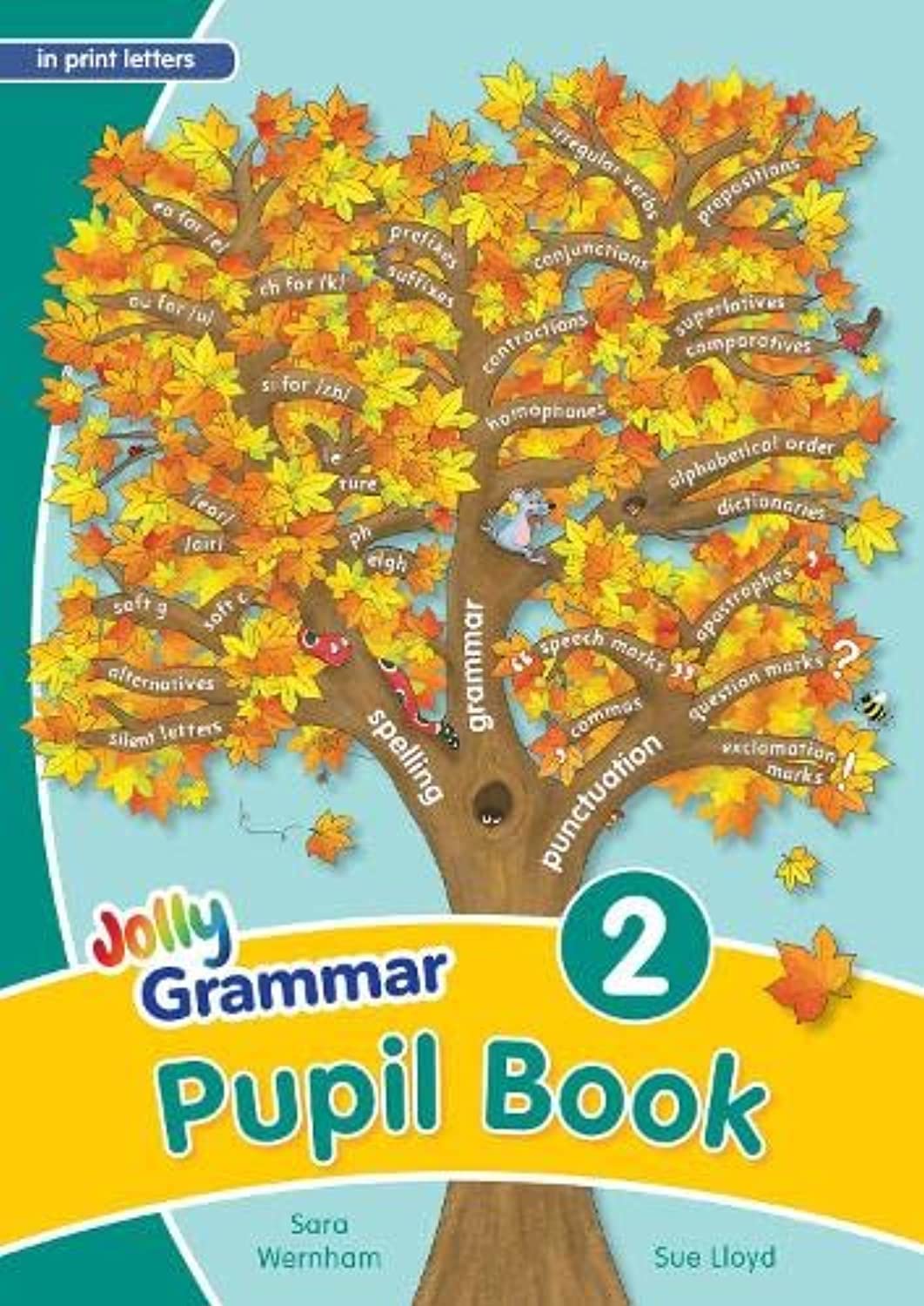 Grammar 2 Pupil Book: In Print Letters (British English edition)