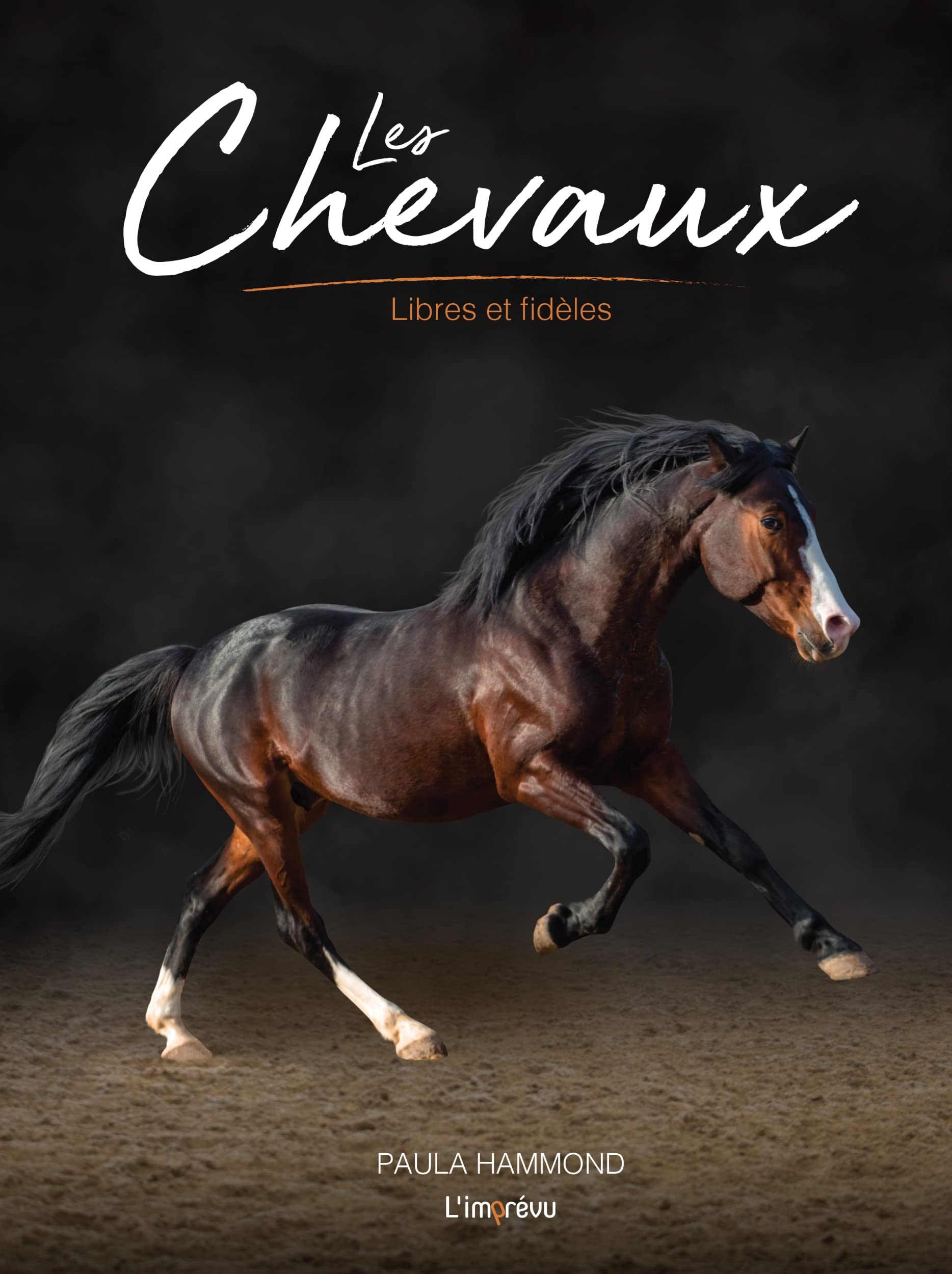 Les Chevaux: Libres et fidèles