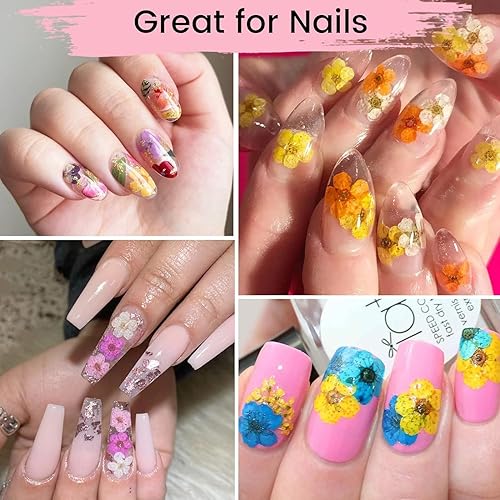Miniatura 3 de 710 flores secas para manualidades de resina, pequeñas flores secas para uñas, flores secas prensadas pequeñas naturales reales para joyas, aretes,