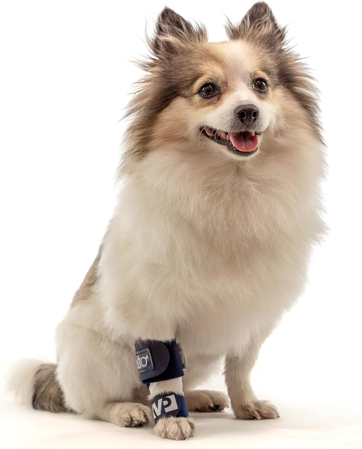 Balto Splint Carpal/Tarsal Brace- Hyperextension Dog Brace with Aluminum Splint – Supports Fractures and Sprains – Front Leg Support (Extra Extra Small)