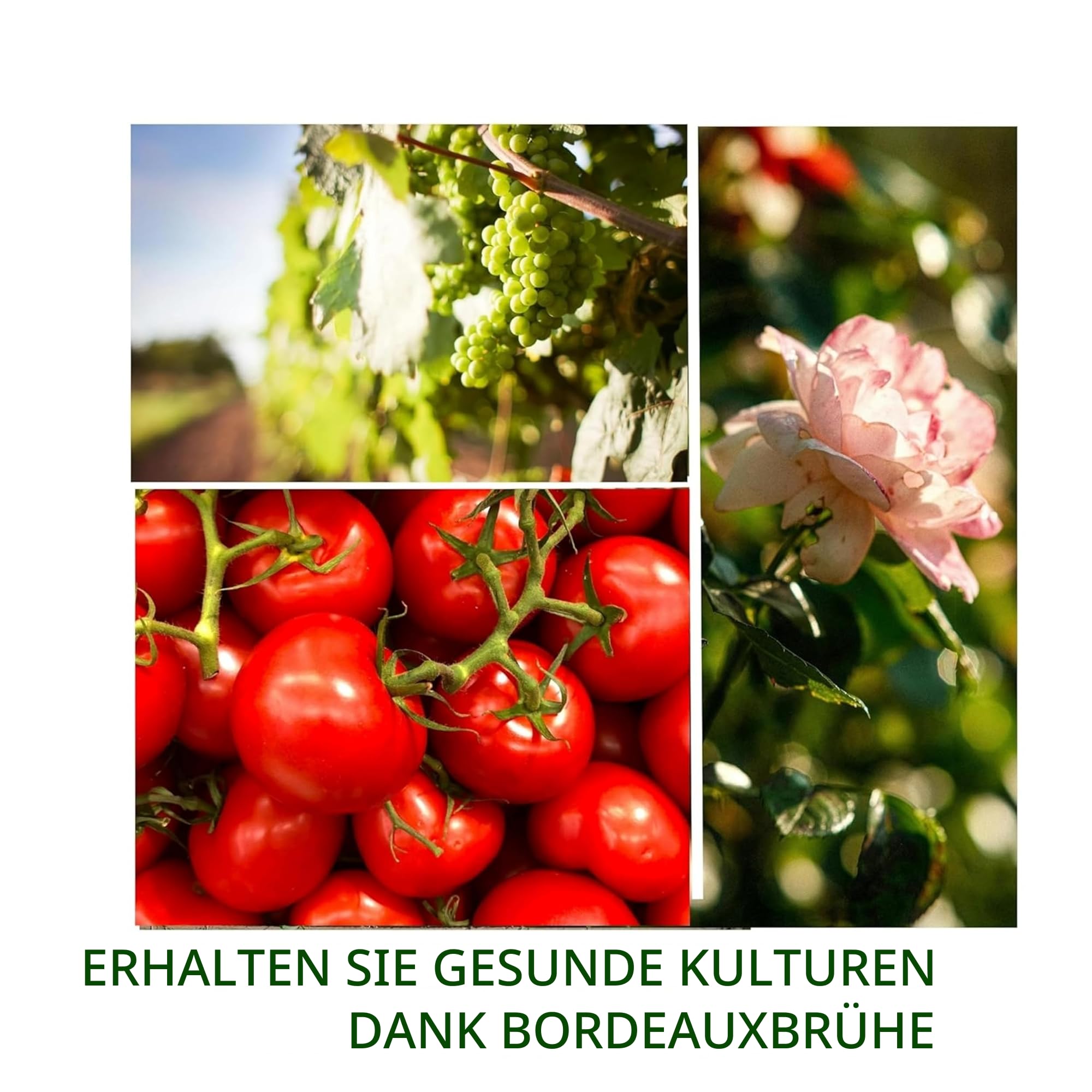 Pulver-Set zur Herstellung von Bordeaux-Mischung (125 Gramm)