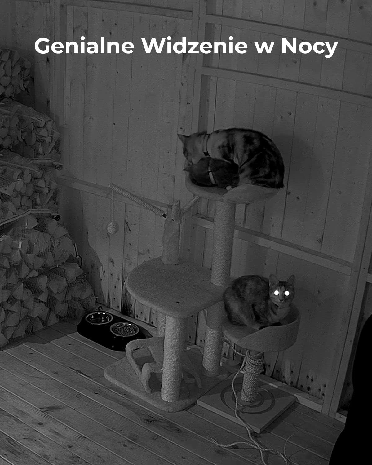 Reolink Kamera 4MP WiFi wewnętrzna kamera Pan Tilt dla dzieci osób starszych monitoring zwierząt domowych WiFi 2 4G 5GHz 2-kierunkowy dźwięk Noktowizja Podgląd gniazdo kart SD E1 Pro Black
