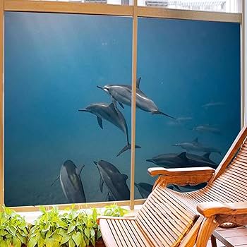 青紺上下ぼかしフィルム透明30cm Yahoo!オークション - 青紺上下