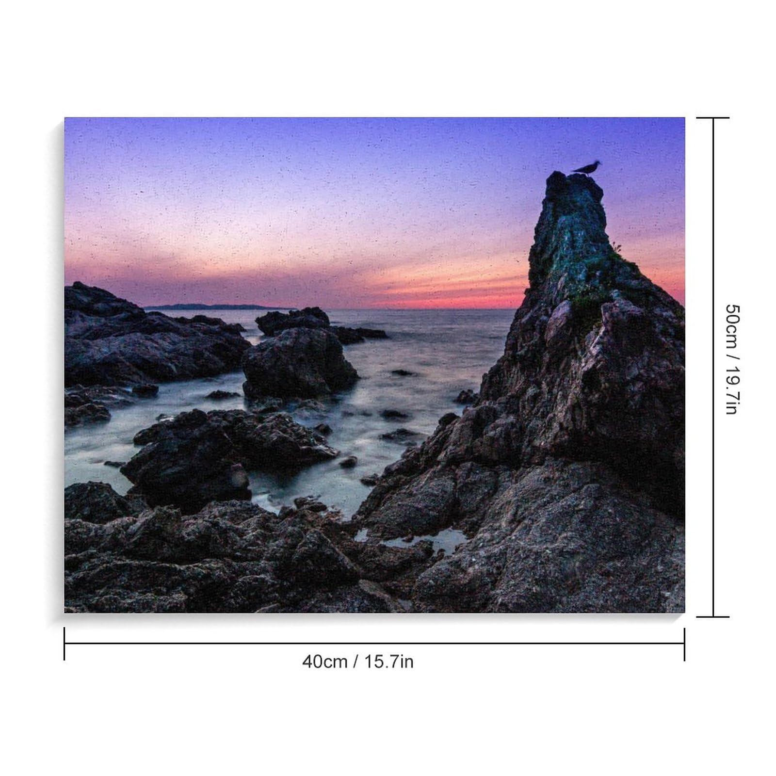 Amazon | 夕暮れ時の美しい海岸の岩 数字キットによる絵画 数字油絵