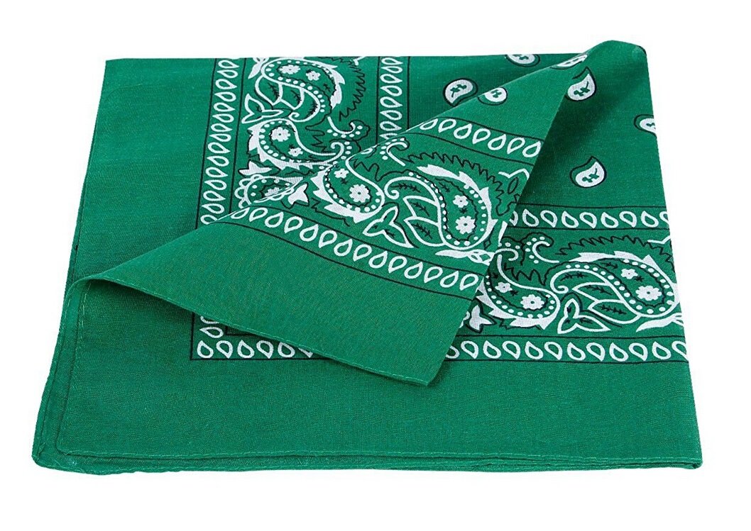 I LOVE DIY Paisley Pattern Gingham Cotton Bandana Scarf Multi-purpose 22"x22" - Green -