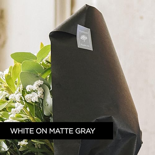 Miniatura 134 de Brother - Cinta de etiquetas laminadas P-touch M31, prémium, 0.47 pulgadas de ancho x 26.2 pies de largo, negra sobre transparente mate Negro sobre