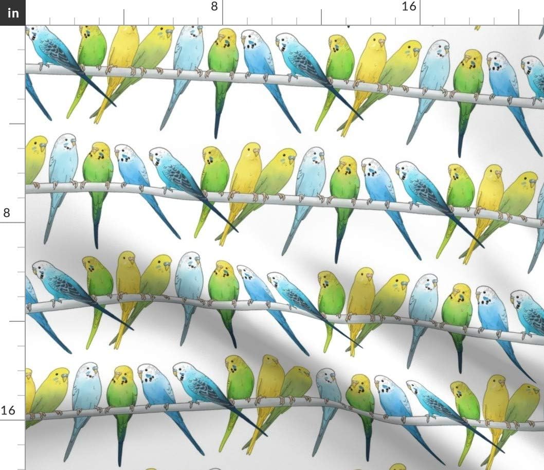Spoonflower Fabric - Colourful Budgies Scale Budgie Bird Pet Parakeet Illustration Printed on Petal Signature Cotton Fabric by The Yard - Sewing Quilting Apparel Crafts Decor