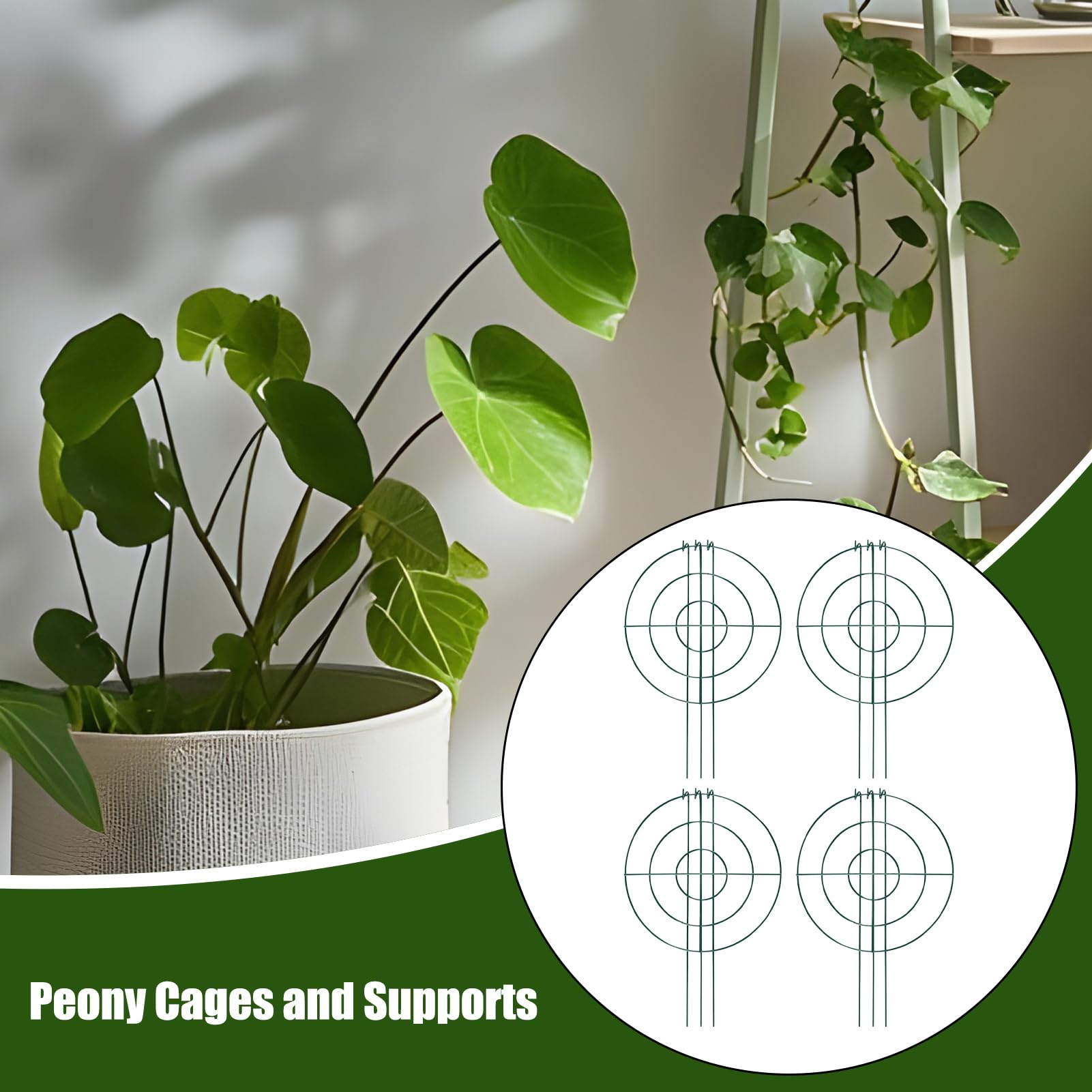 Tuteur pour Pivoines Tuteurs pour d'Intérieur