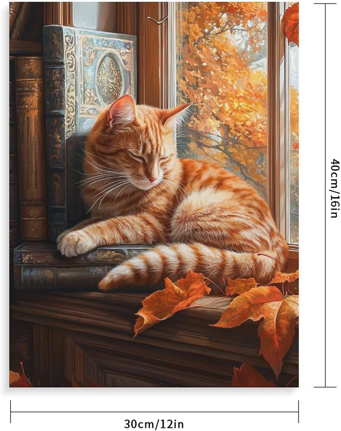 Shrandi Orange Tabby Cat Sleeping on Books by Autumn Window Paint by Number, Adult Paint by Number Kits, Painting Kits for Adults Digital Oil Painting Gift and Home Wall Decor 12 * 16inch