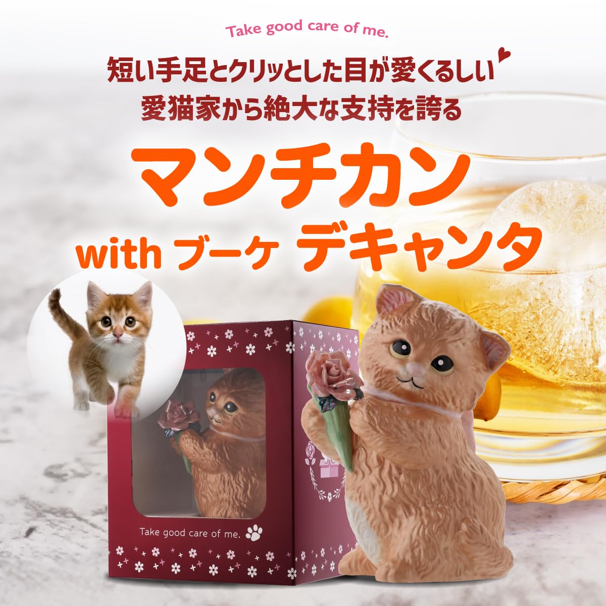 Amazon.co.jp: 箱付き マンチカン ウィズブーケ ブラックスモーク