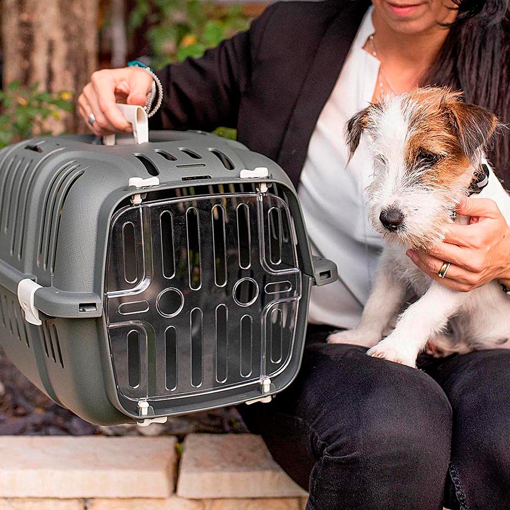 Ferplast Trasportino Rigido per Cani Piccoli e Gatti Jet 10, Porta Trasparente Antiurto, Griglie di aerazione