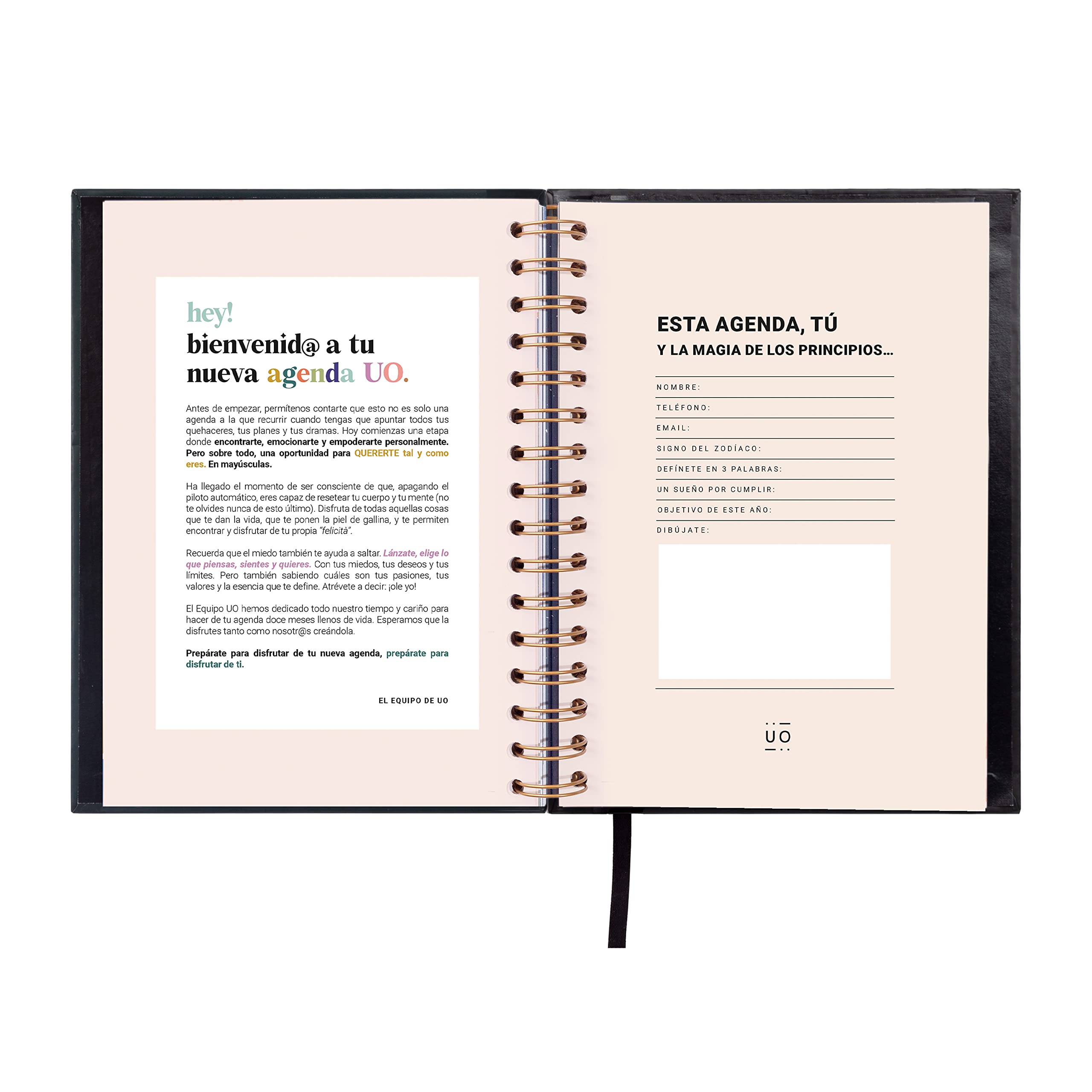 UO Eclipse Week to View 2023 Yearly Planner: Starts in January 2023 and ends December 2023, Hardcover, Includes 126 Stickers - Image 3