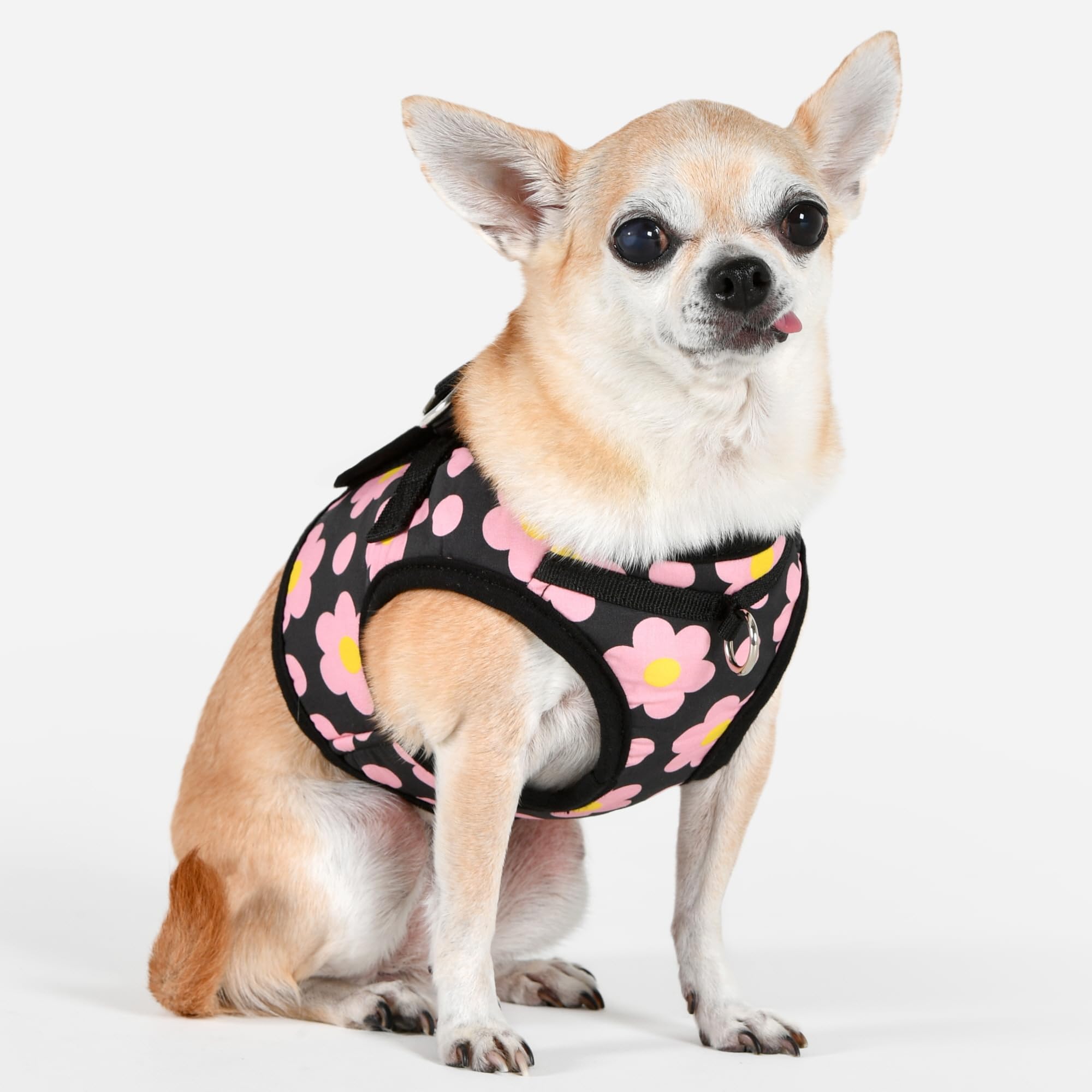 Puppia Bacopas Dog Vest Harness B (Step-in) Fashionable Flower Pattern Spring Summer Harness for Small and Medium Dogs, Black, Large