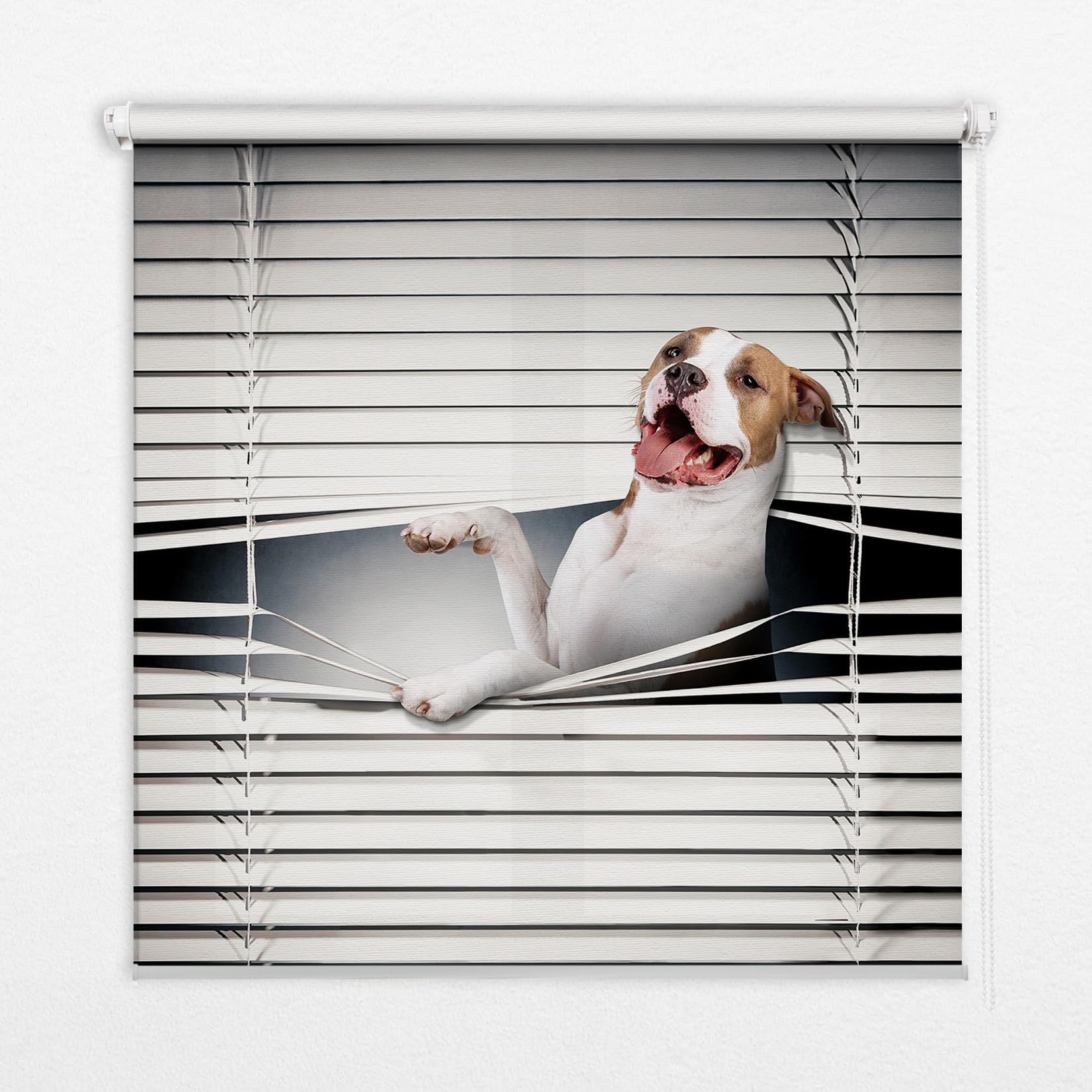 Store enrouleur banne sans perçage 140x180cm perméable intérieur motif chien Tulup