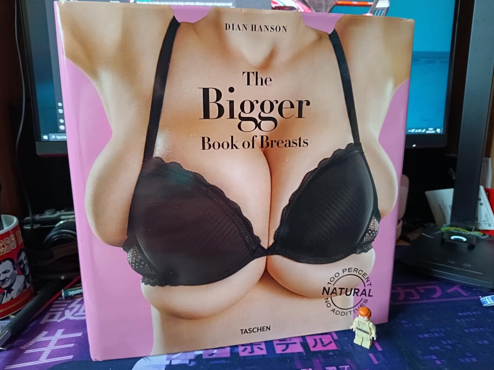 the big book of breasts
