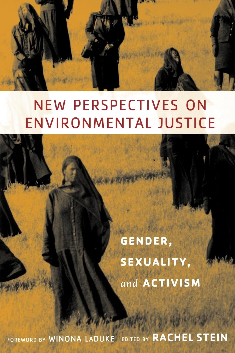 New Perspectives on Environmental Justice: Gender, Sexuality, and Activism