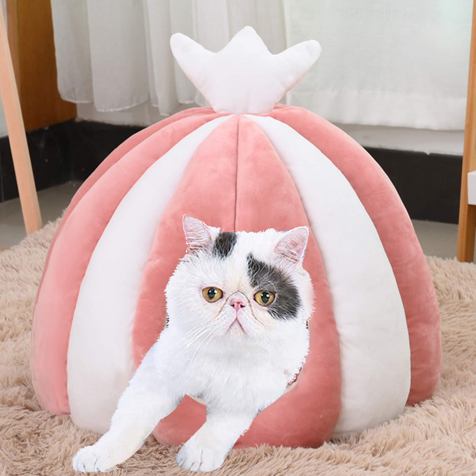 Lit De Tente pour Chat, 2 en 1 Auto-Chauffant Confortable Triangle Lit Igloo pour Chat Confortable Lit pour Animal De Compagnie Chaud Cave Nest Sleeping Bed Puppy House avec Amovible
