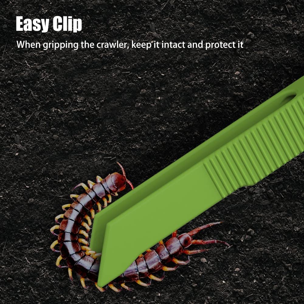 Kit D'outils d'alimentation pour Reptiles,Pince de Capture D'insectes Lézard Transparent pour Hamsters Gecko Lézard Petits Animaux