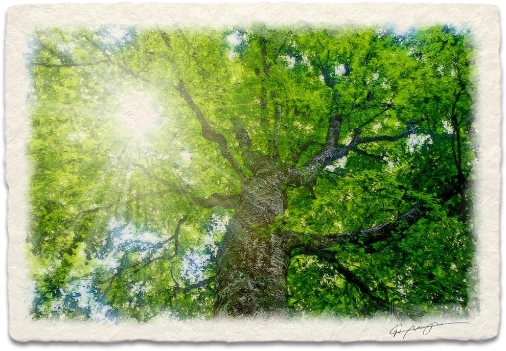 風景画 「木漏れ日」 油絵 F8 風水 絵 絵画 玄関 インテリア アート