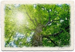 風水 絵 絵画 玄関 インテリア アートパネル 風景画 おしゃれ 壁掛け 和紙の絵写真 「木漏れ日と新緑のブナの大木」 水晶入り パネル付き 30x21cm 木 森 緑 Natural Memories