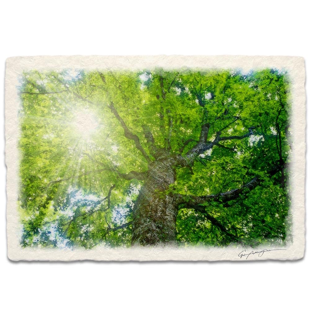 自然の風景画 木製フレーム付き Amazon.co.jp: 山 絵 木の絵 アートパネル 自然 絵画 風景画