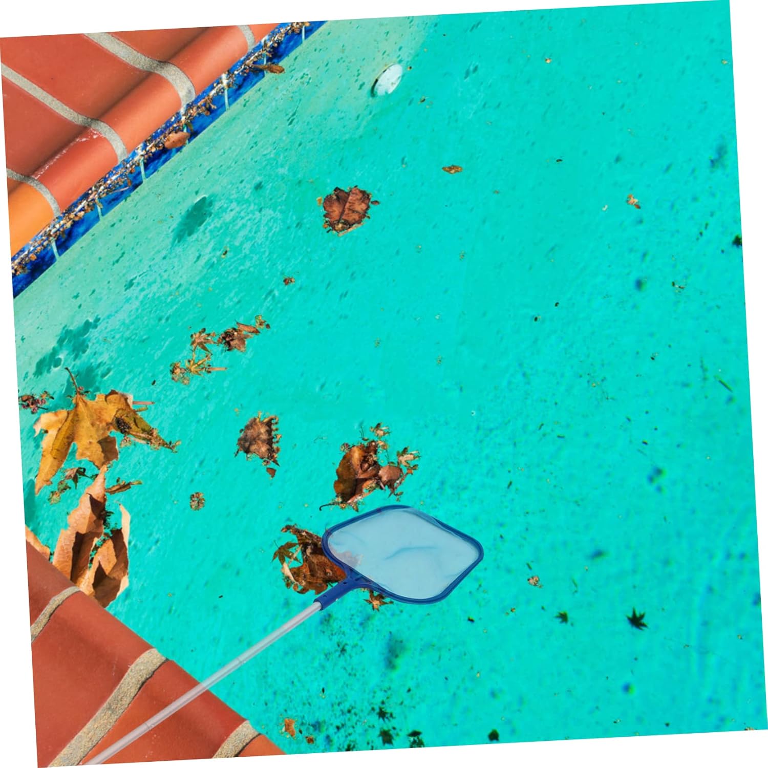 Section Pool Net Pole Kit Professional Leaf Rake Net for Pool Cleaning Skimmer Tool Spa Hot Tub Accessory
