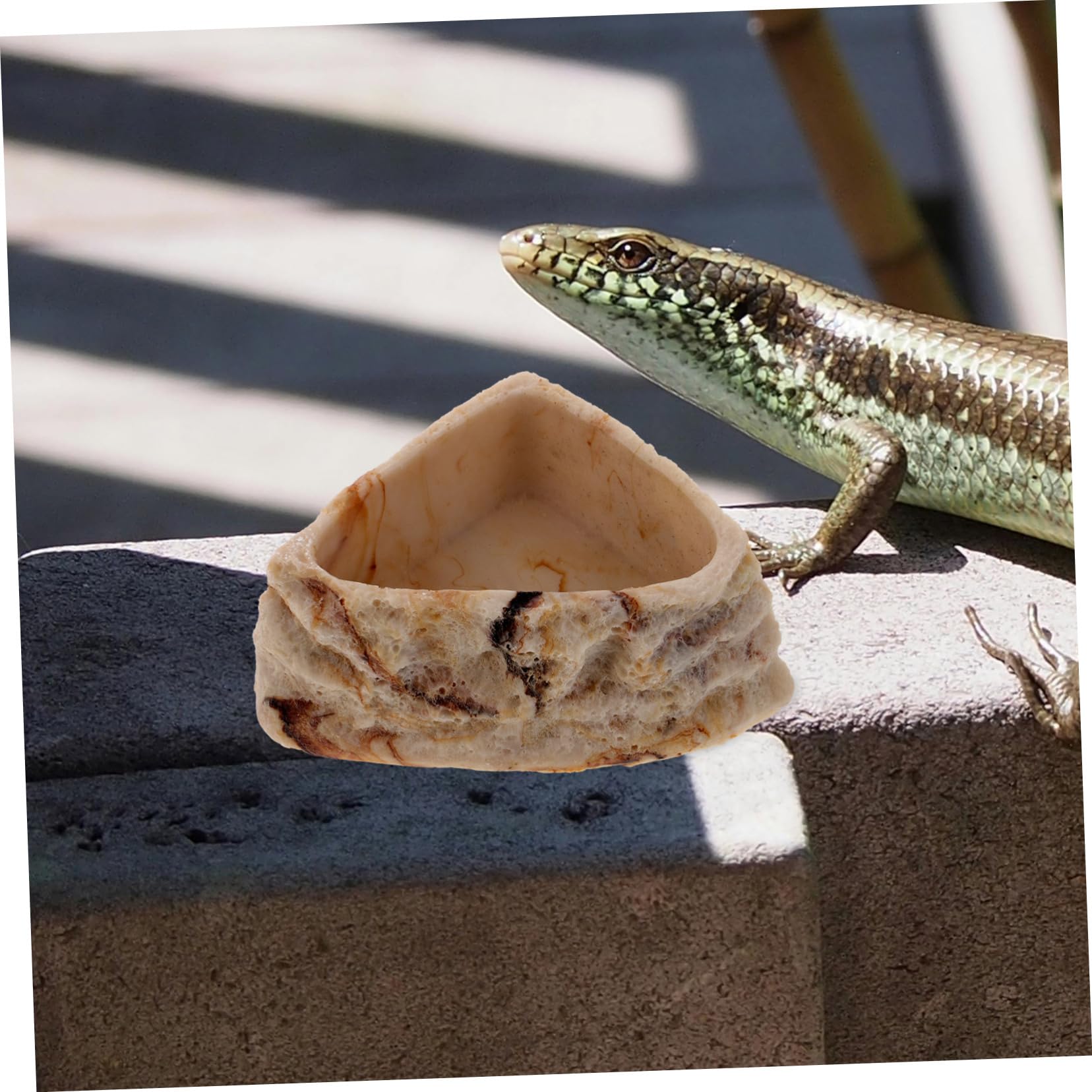 POPETPOP 5 Uds Tazón De Reptil Plato De Alimentación De Reptil Plato De Gusano De Reptil Plato De Reptil Plato De Agua De Tortuga Plato De Alimentación para Mascotas Plato De Comida De